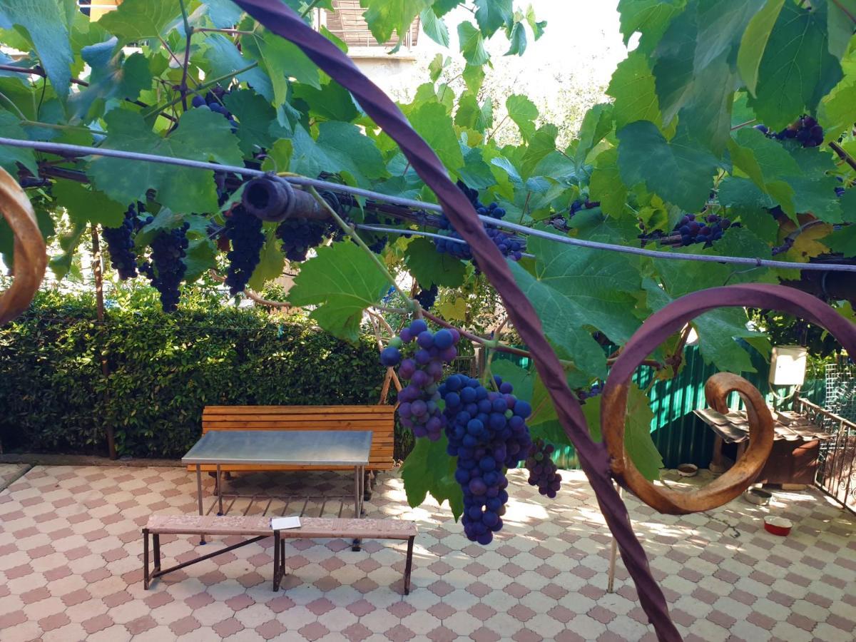Guest House Lykhny Gagra Kültér fotó